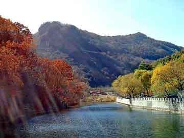 街头 在线 日韩，冒